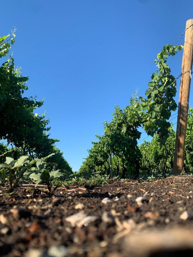 Masseria Spinale Wine Resort ملفي المظهر الخارجي الصورة