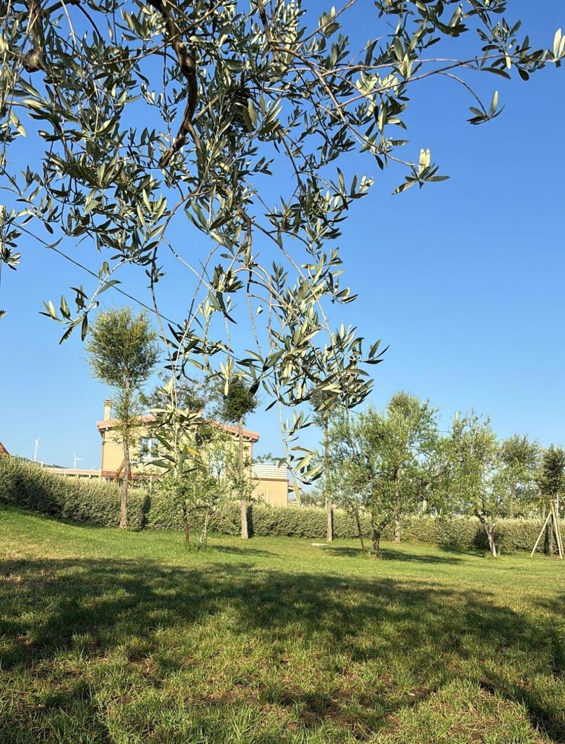 Masseria Spinale Wine Resort ملفي المظهر الخارجي الصورة